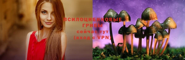 ГАЛЛЮЦИНОГЕННЫЕ ГРИБЫ Армянск