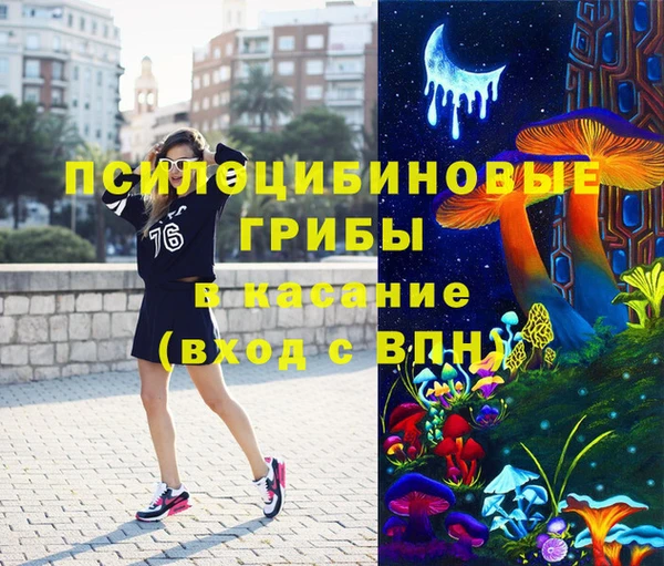 ГАЛЛЮЦИНОГЕННЫЕ ГРИБЫ Армянск
